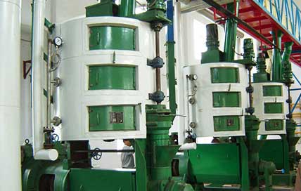 Rapeseed Oil Production Line Manufacturer