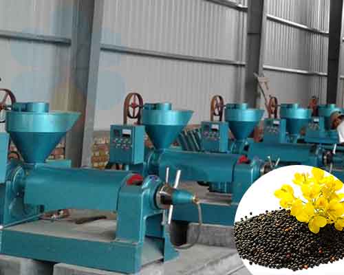 Rapeseed Oil Production Line, Four Advantages of Rapeseed Cooking