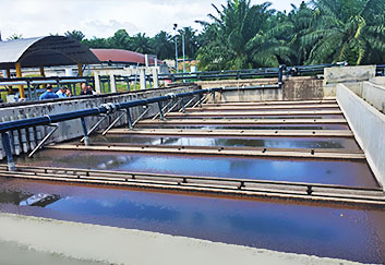 Palm Oil Mill Effluent