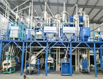 Flour Processing Plant