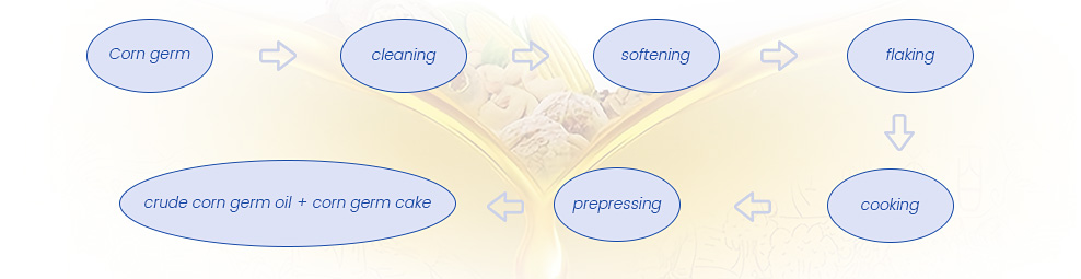 Corn-Germ-Oil-Production-Line01_07.jpg