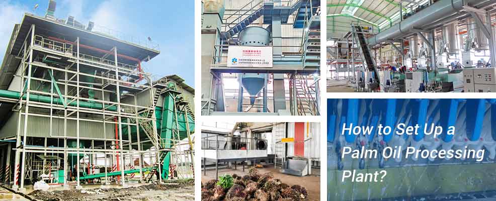 how to set up palm oil plant.jpg