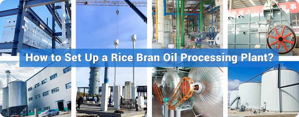 rice bran oil processing plant.jpg