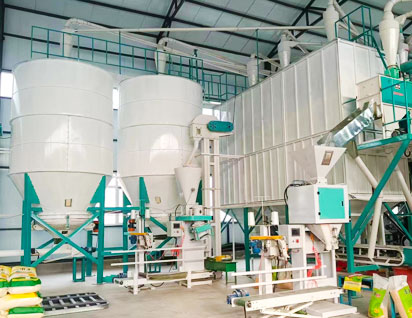 Corn Flour Processing Plant