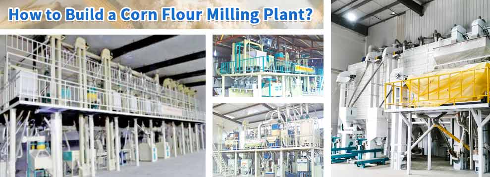 corn flour milling plant.jpg