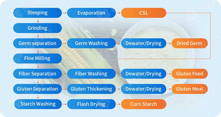 corn starch processing process.jpg