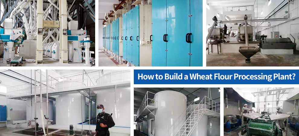 wheat flour production plant.jpg