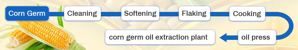 corn germ oil production process.jpg