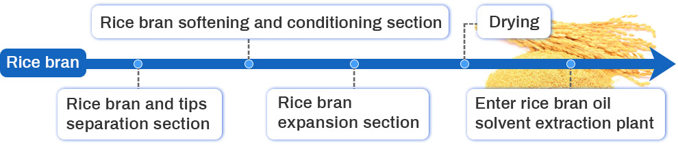 rice bran pretreatment process.jpg