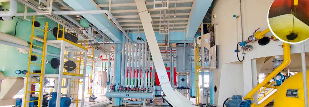 rice bran oil extraction machine.jpg