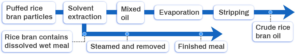 rice bran oil extraction process.jpg