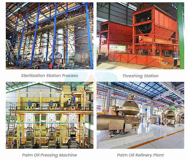 What is The Palm Oil Making Process?