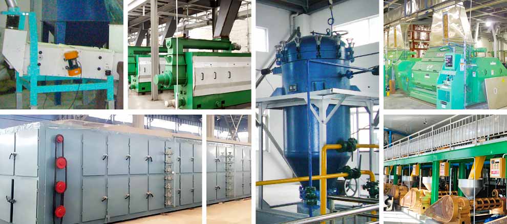 rapeseed oil press machine.jpg