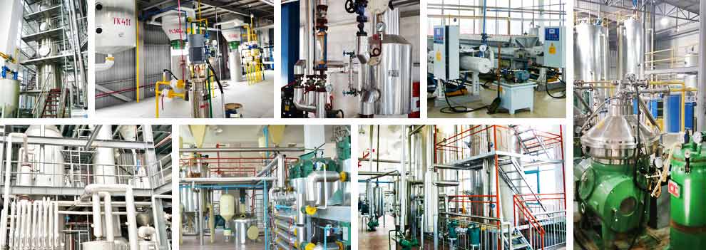 rapeseed oil refining plant.jpg