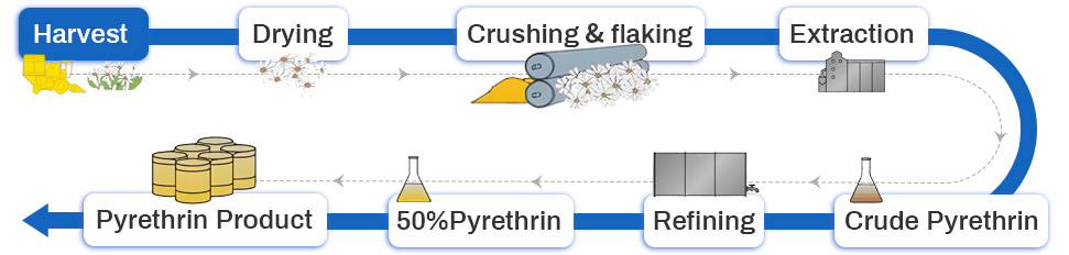 subcritical pyrethrin extraction equipment.jpg