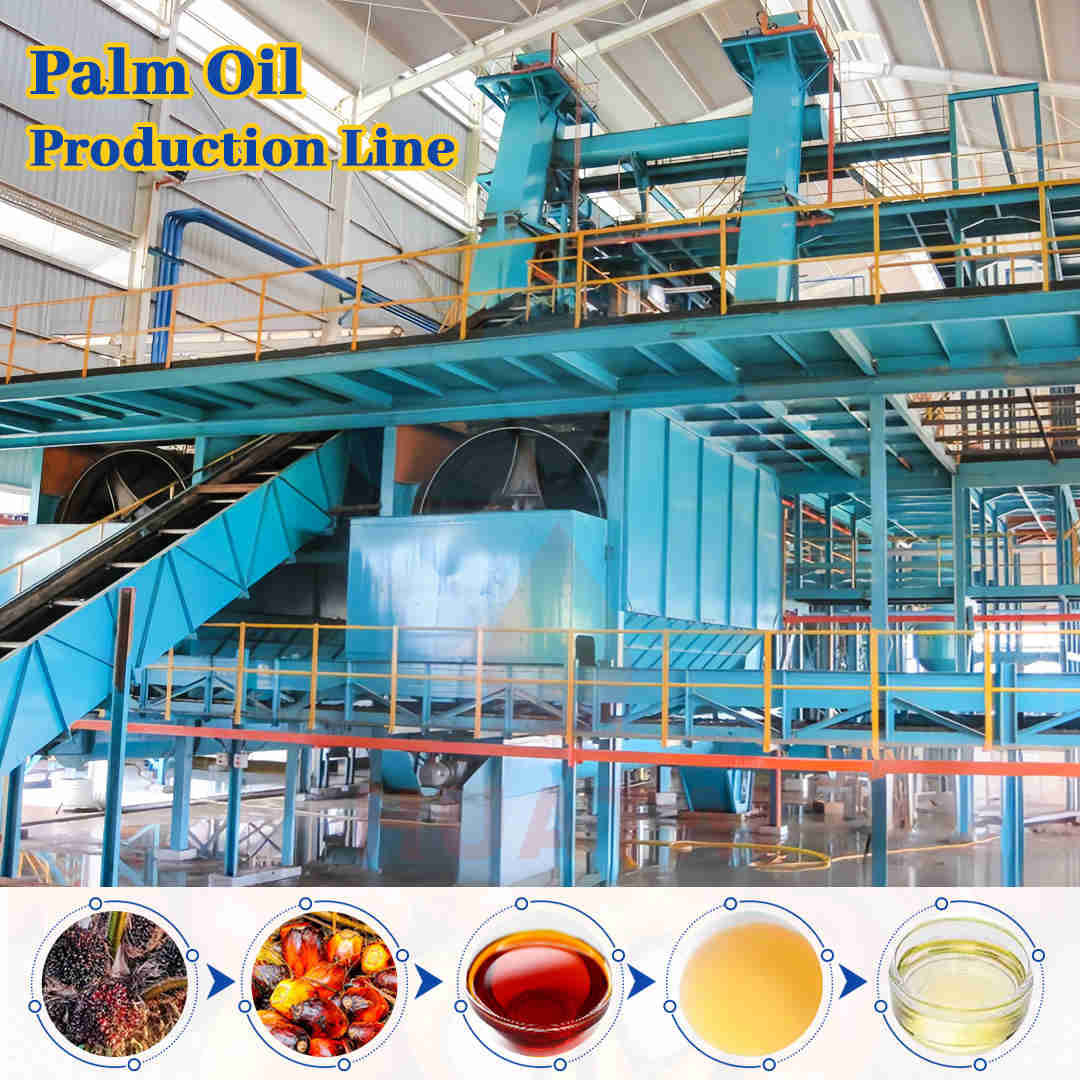 The Steps Involved in Processing Palm Oil
