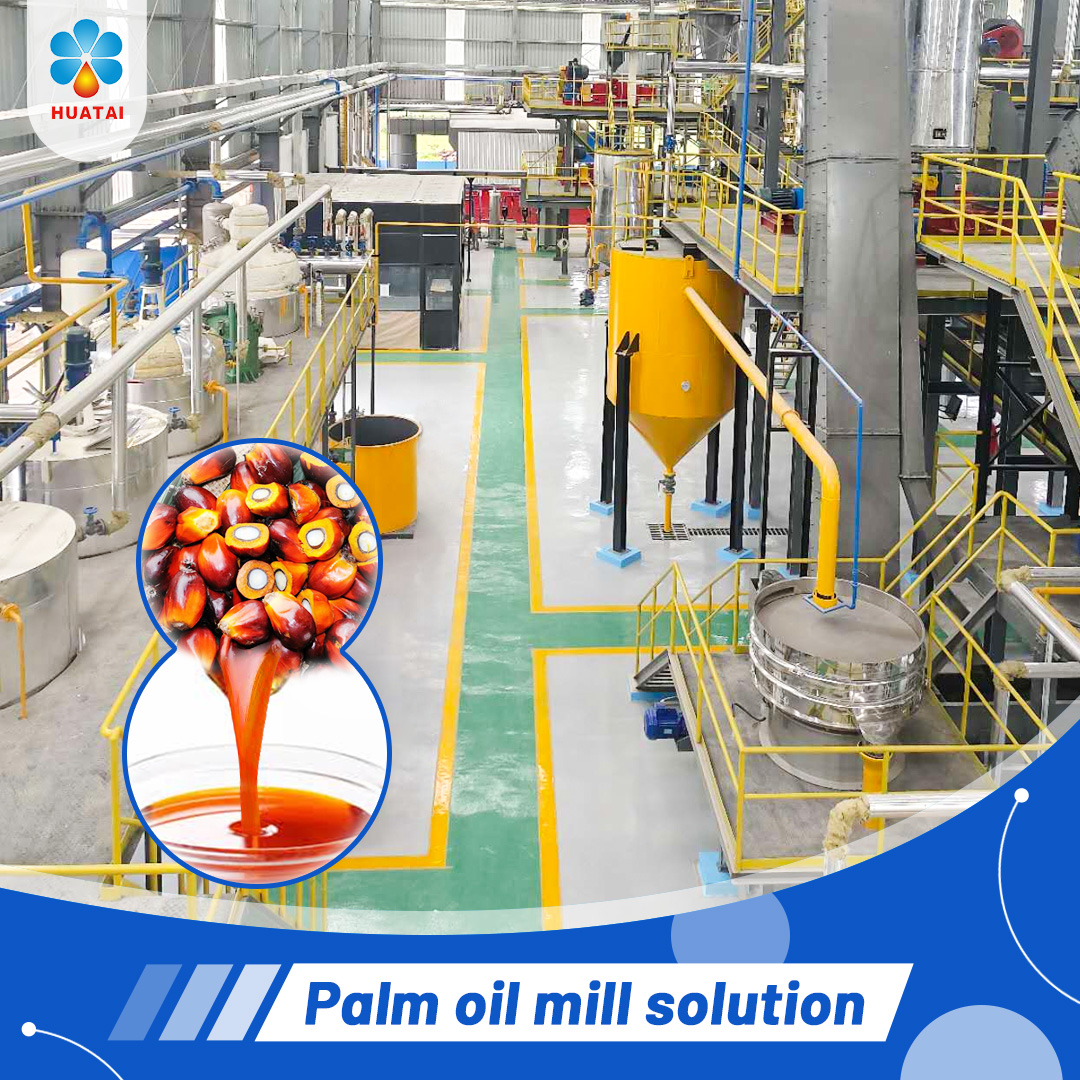 How to Start a Palm Oil Mill with Simple Machines?