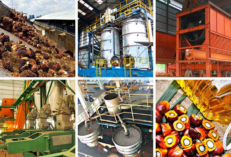 Complete Palm Oil Processing Machine Solutions - Customized Design