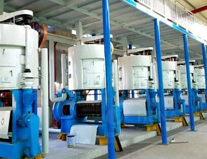 Sesame Oil Production Line