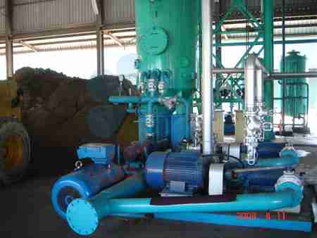 How Palm Oil Is Produced?