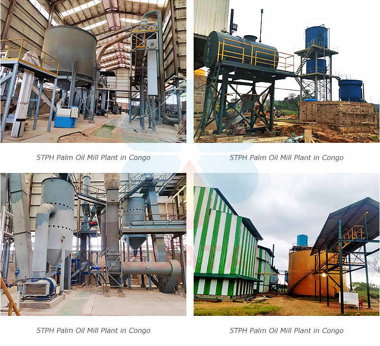 How to Set Up a Palm Oil Factory?