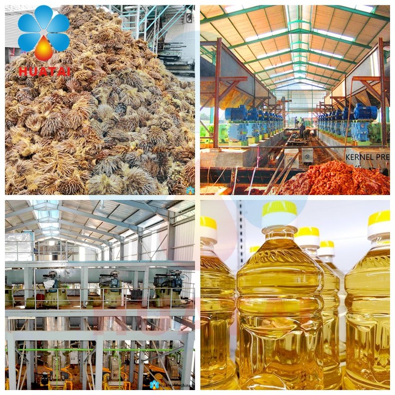 Introduction of the Process and Machine used in Oil Palm Mill Plant