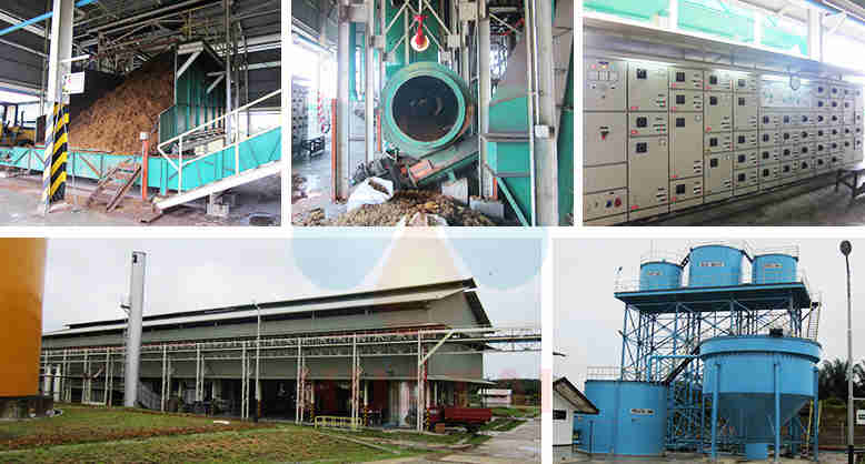 How to Increase Palm Oil Yield?