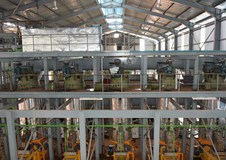 Introduction to Palm Oil Processing