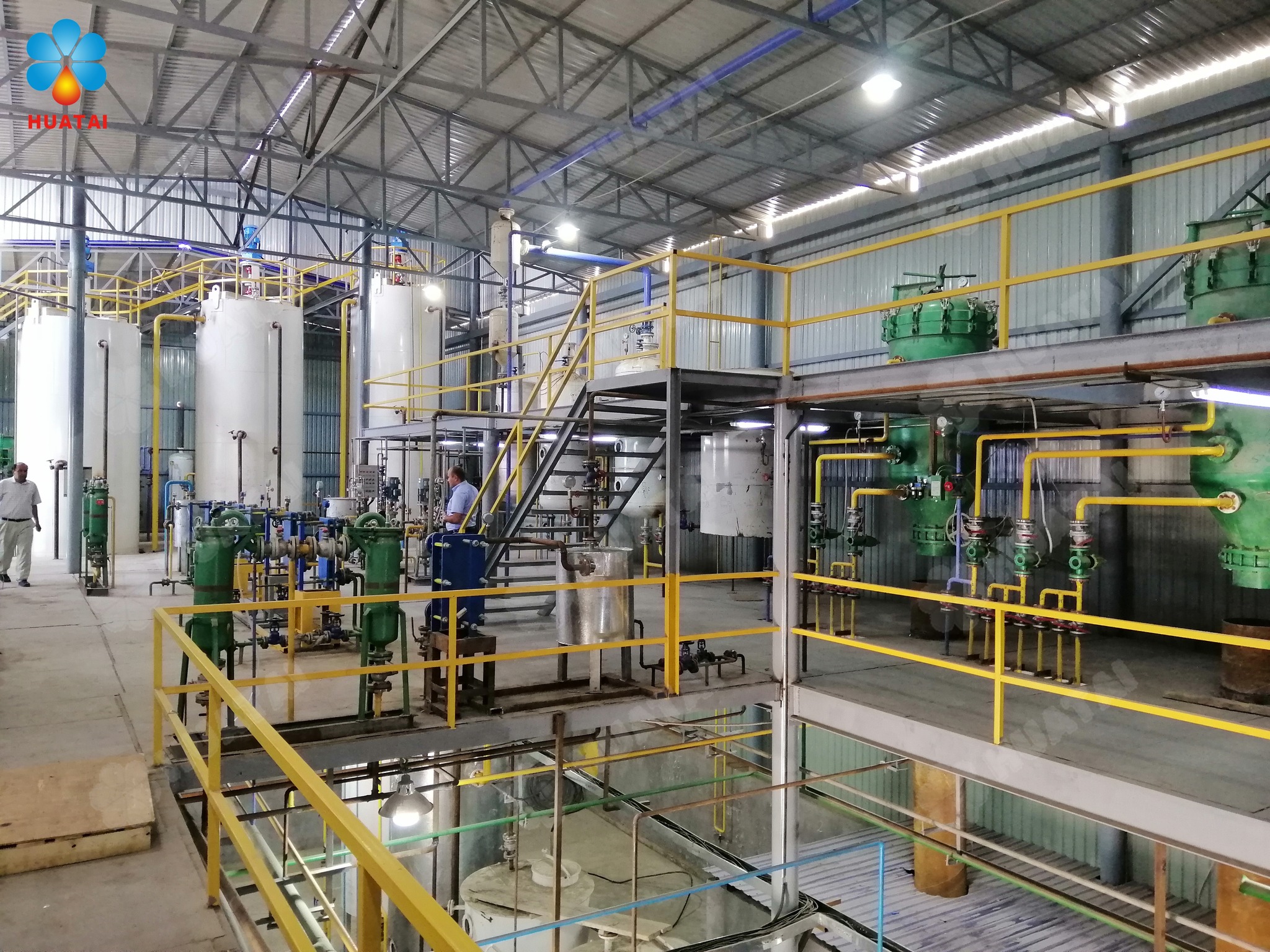 A Guide to Selecting Walnut Oil Processing Equipment: Huatai Tailors Solutions for Diverse Edible Oi