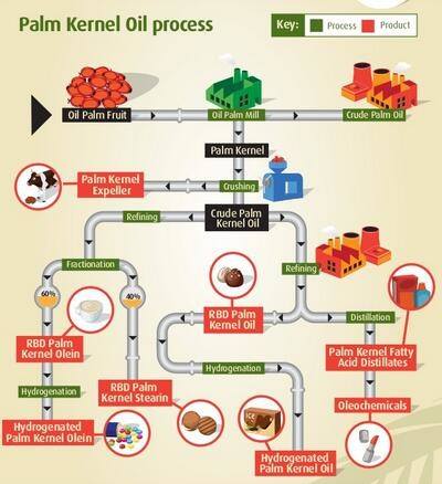 Palm Oil Hydrogenation Process