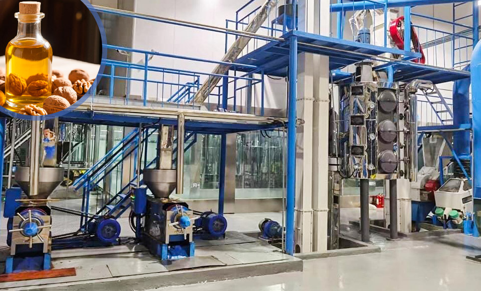 walnut oil processing machine.jpg