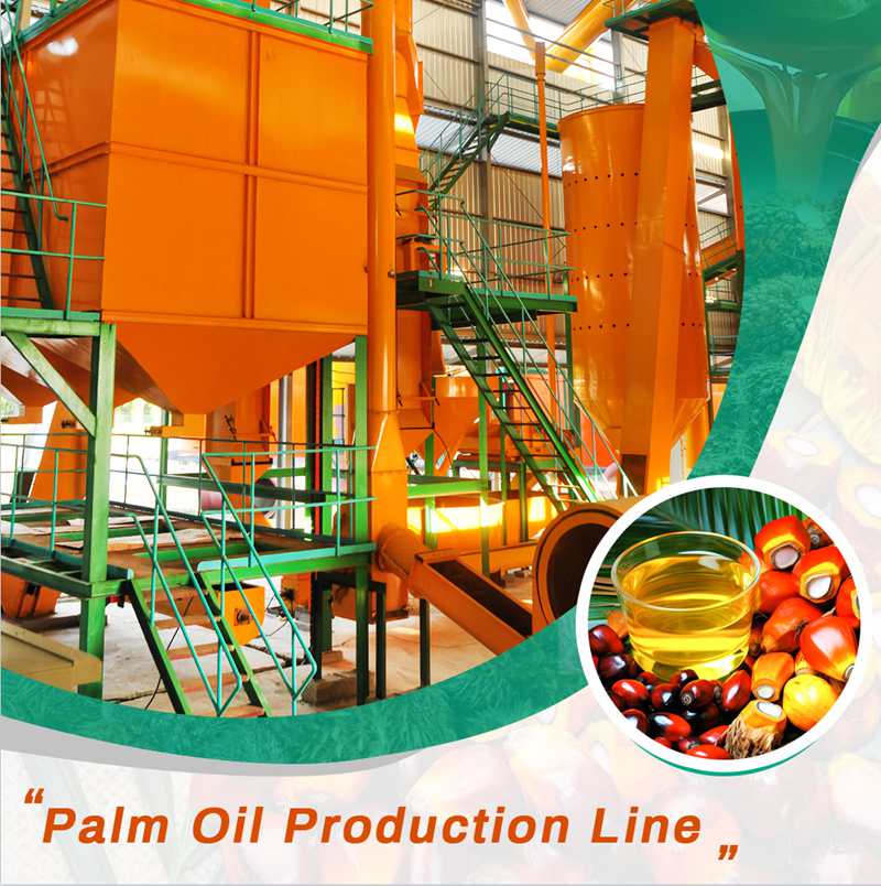 What Are the Assets Needed for Palm Oil Business?