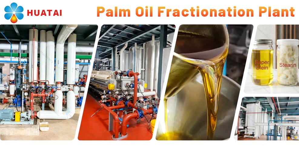 palm oil fraction project.jpg palm oil fraction project.jpg