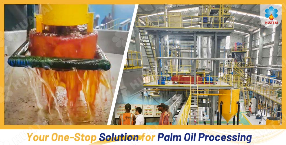 palm oil production line.jpg