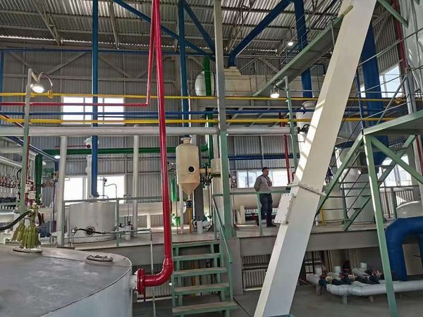 canola oil extraction equipment.jpg